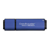 Kingston DataTraveler Vault - Privacy 1GB (DTVP/1GB)